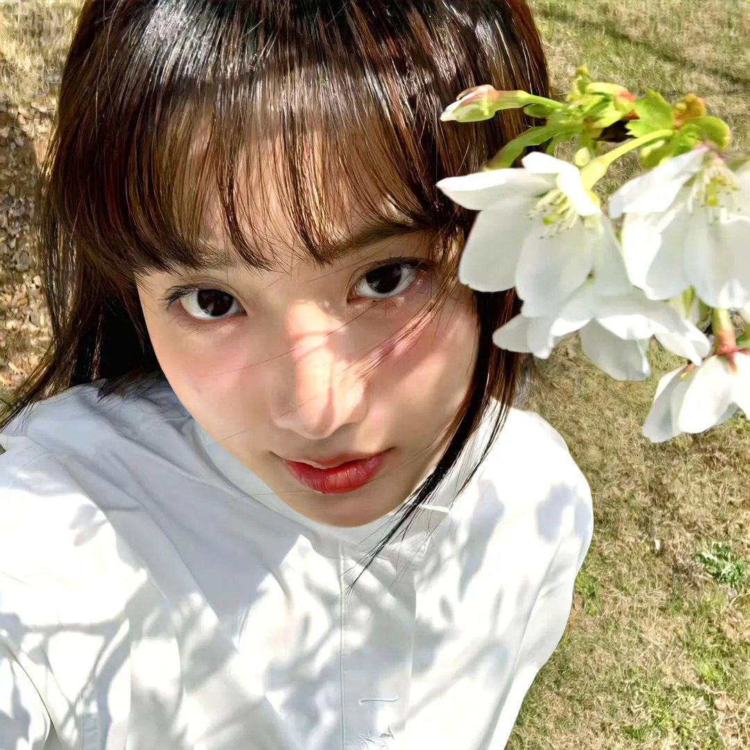海边的屋子海报