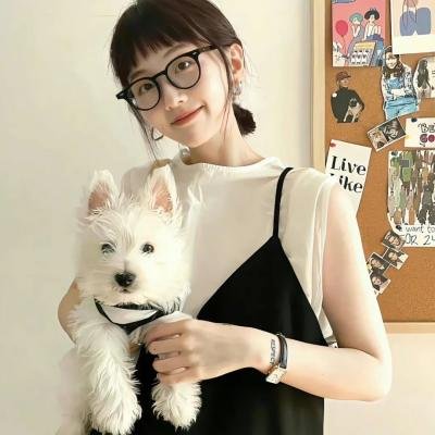 豚鼠特攻队海报