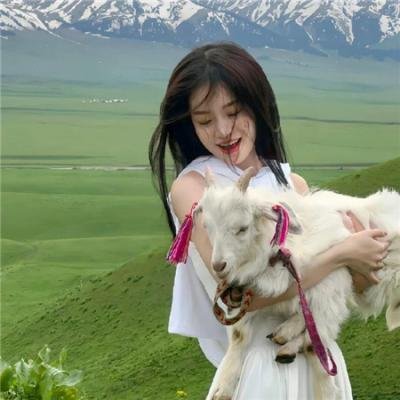 海豹突击队第五季海报